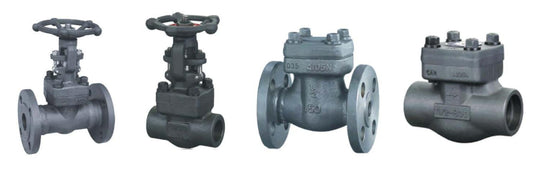 FORGED STEEL VALVE