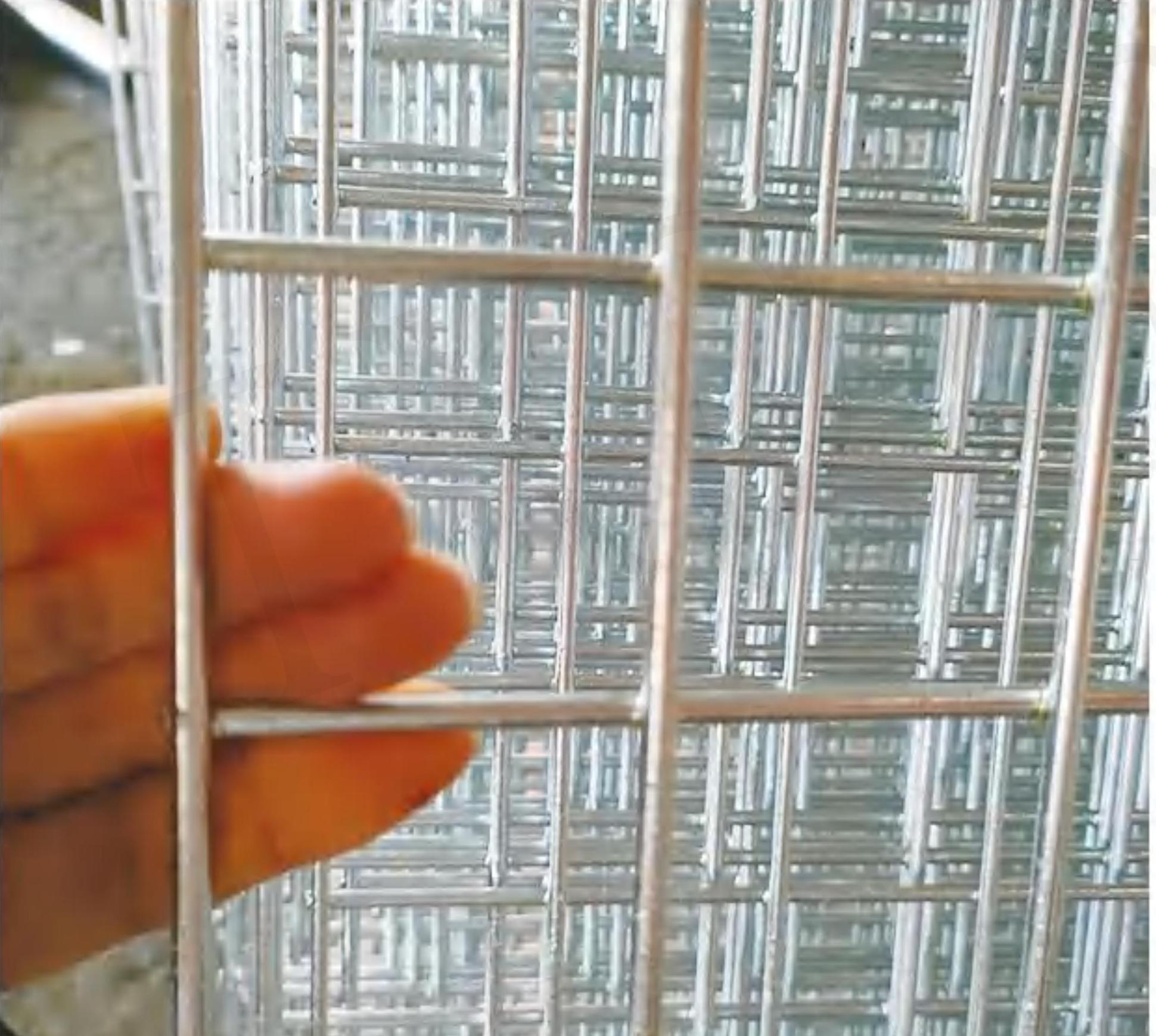 GALVANIZED WIRE MESH