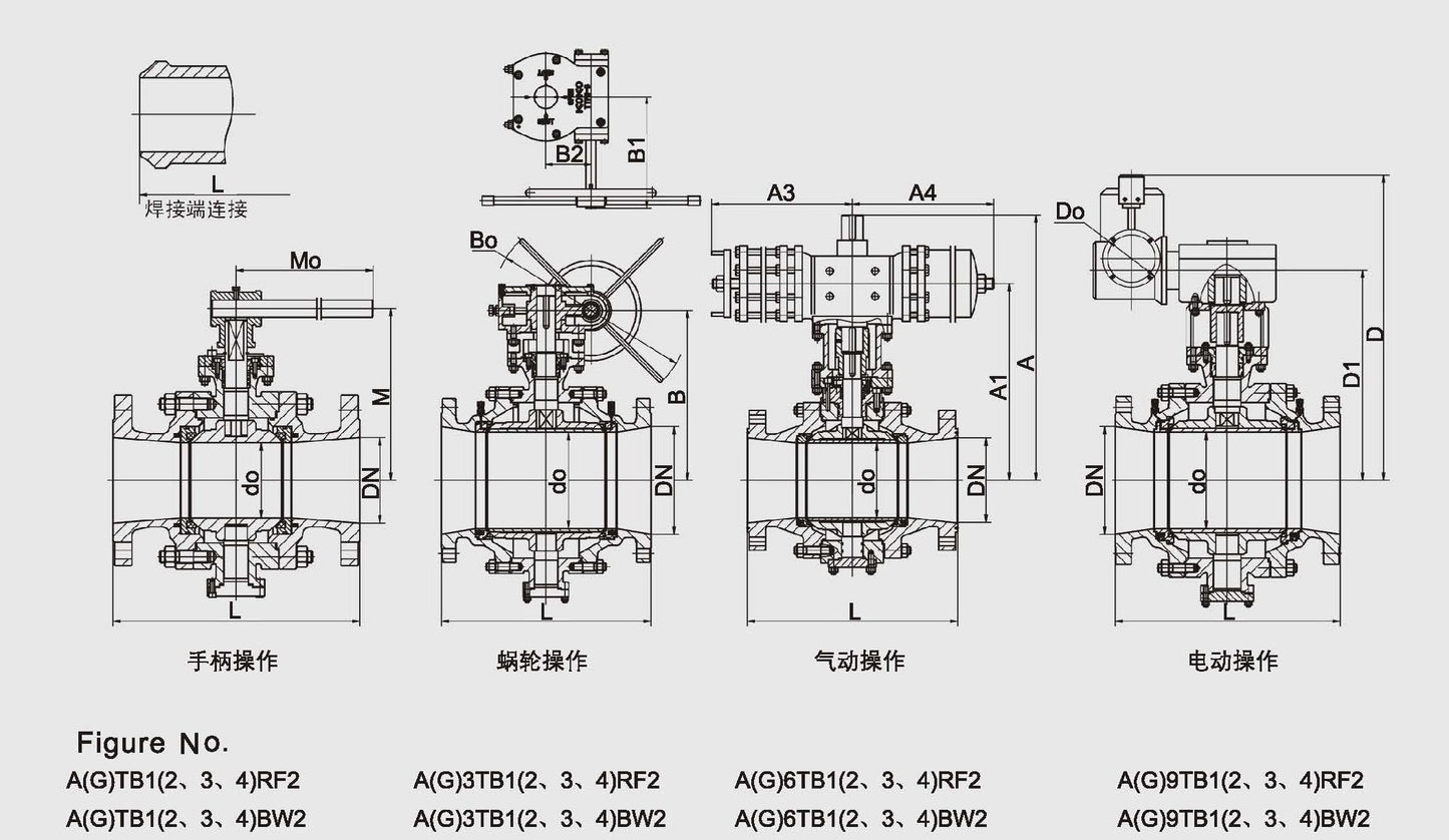 REDUCED BORE TRUNNION MOUNTED BALL VALVE