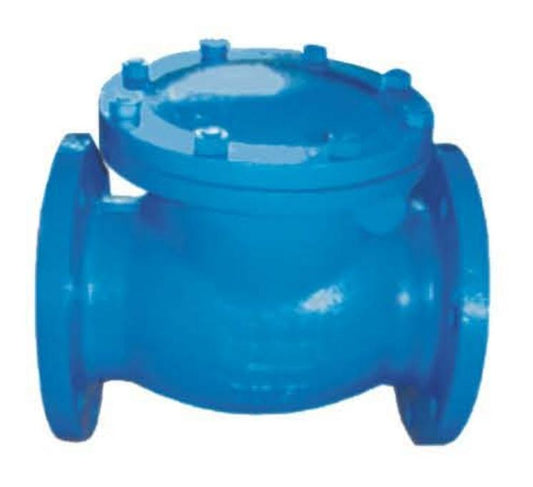 ANSI CAST IRON SWING CHECK VALVE-CLASS 125