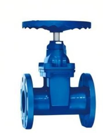 GATE VALVE CAST IRON FLANGE