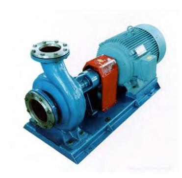 RY SERIES AIR-COOLED HOT OIL PUMP