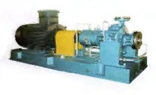 ZE SERIES PETROLEUM AND CHEMICALS PROCESS PUMP