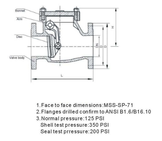 ANSI CAST IRON SWING CHECK VALVE-CLASS 125