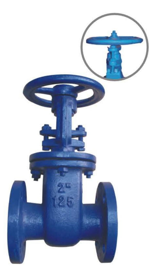 ANSI METAL SEAT GATE VALVE-CLASS125