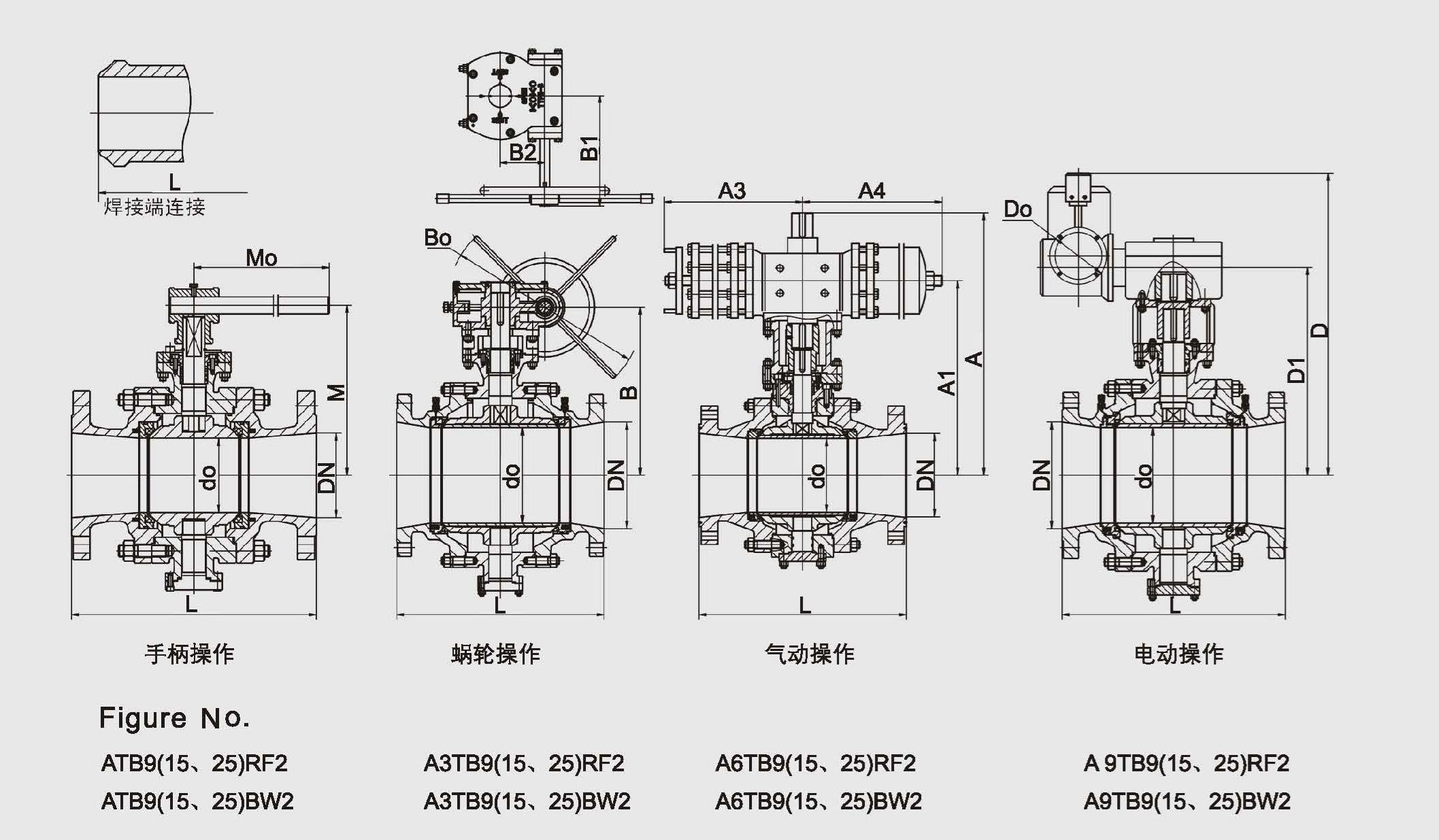 REDUCED BORE TRUNNION MOUNTED BALL VALVE