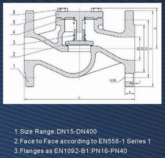 DIN CAST STEEL LIFT CHECK VALVES PN16-25-40
