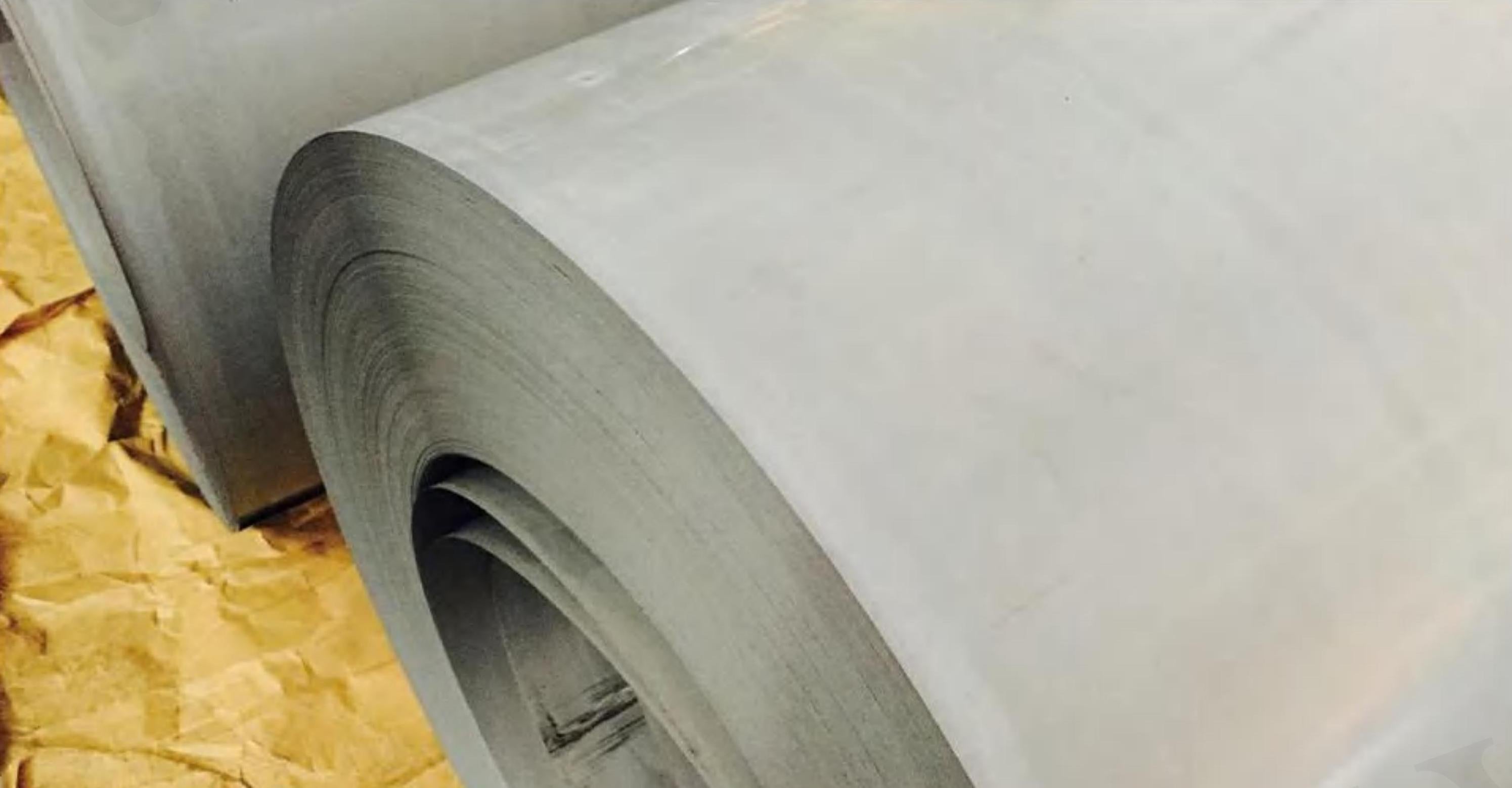 COLD-ROLLED GRAIN-ORIENTED ELECTRICAL STEEL COIL