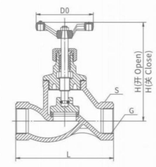 CAST IRON INTERNAL THREAD GLOBE VALVE