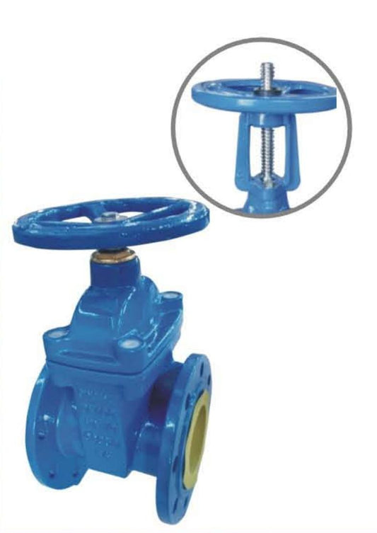 DIN3352-BS5163 RESILIENT WEDGE GATE VALVE