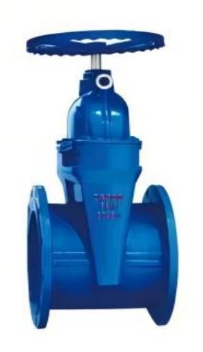 GATE VALVE CAST IRON FLANGE