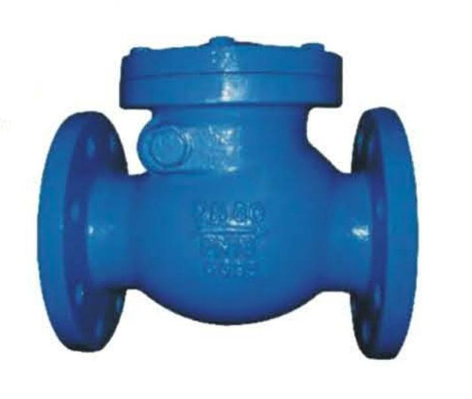 DIN CAST IRON SWING CHECK VALVE-PN16