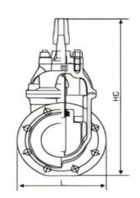 GATE VALVE CAST IRON FLANGE