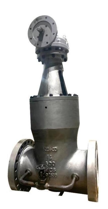 HIGH PRESSURE SELF SEALING VALVE SERIES