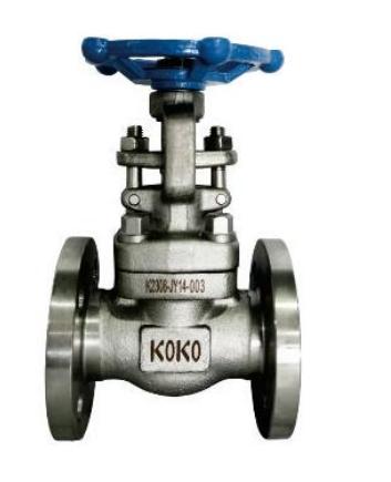 FORGED STEEL VALVE SERIES
