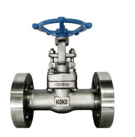 FORGED STEEL VALVE SERIES